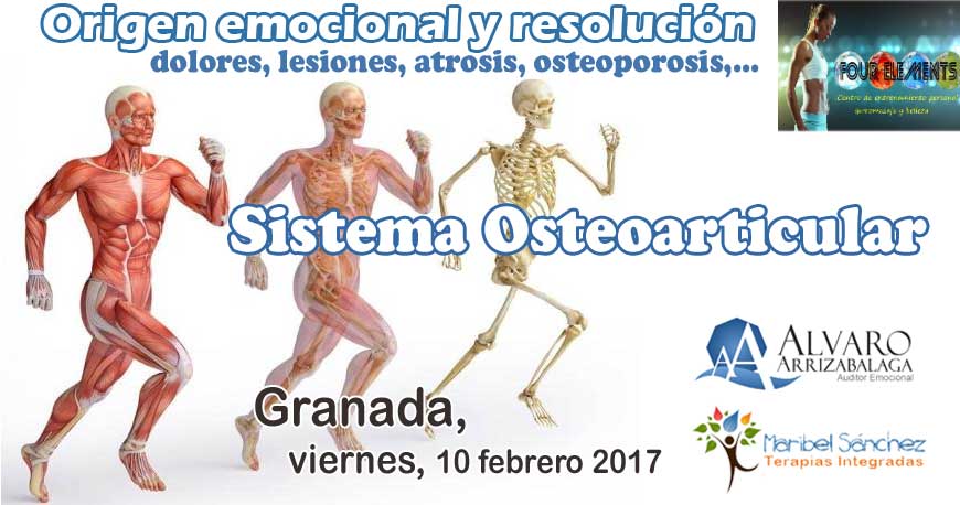 Taller del Sistema Osteoarticular